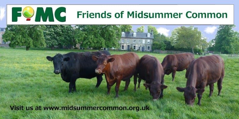 Friends of Midsummer Common cover image