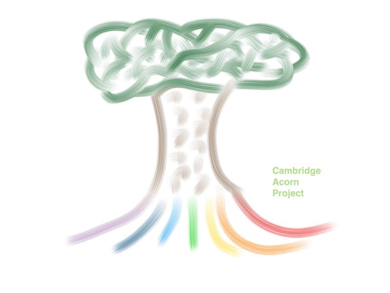 Cambridge Acorn Project cover image