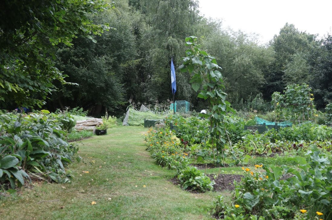 Image for Empty Common Community Garden