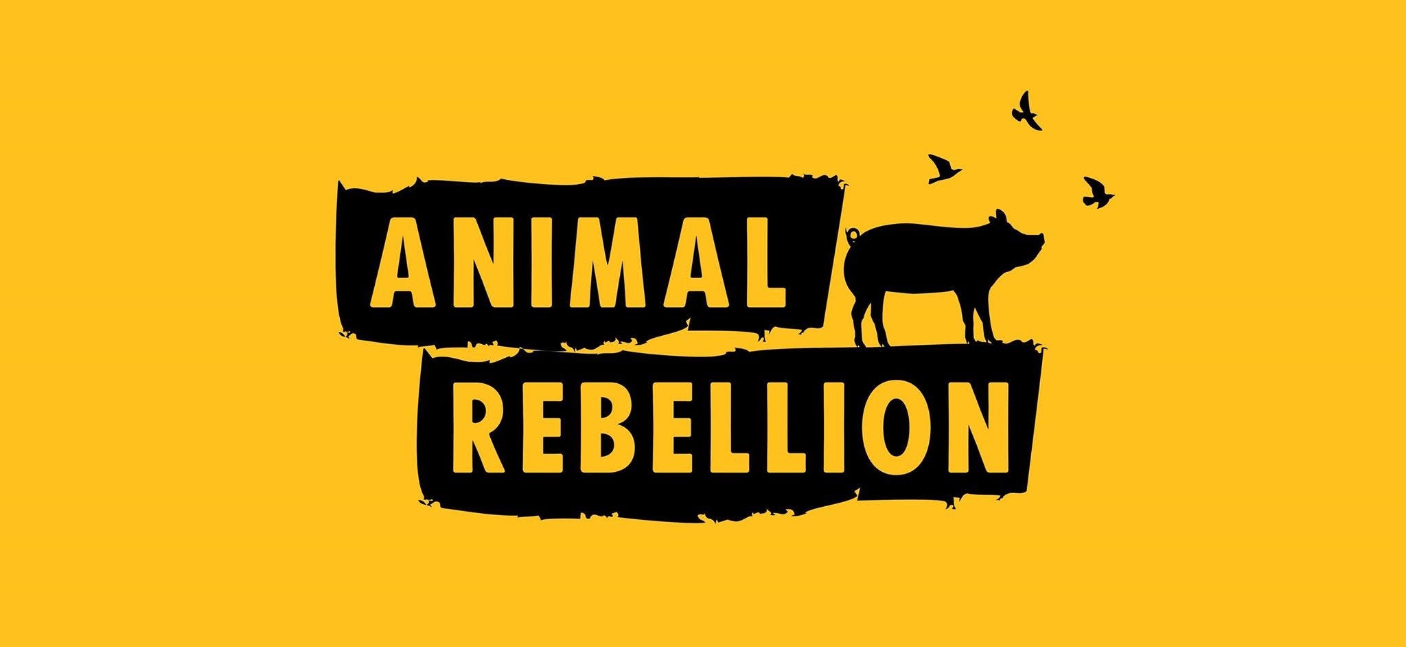 Animal Rebellion Cambridge cover image