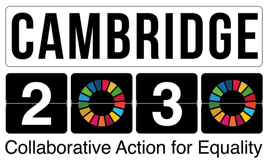 Cambridge 2030 cover image